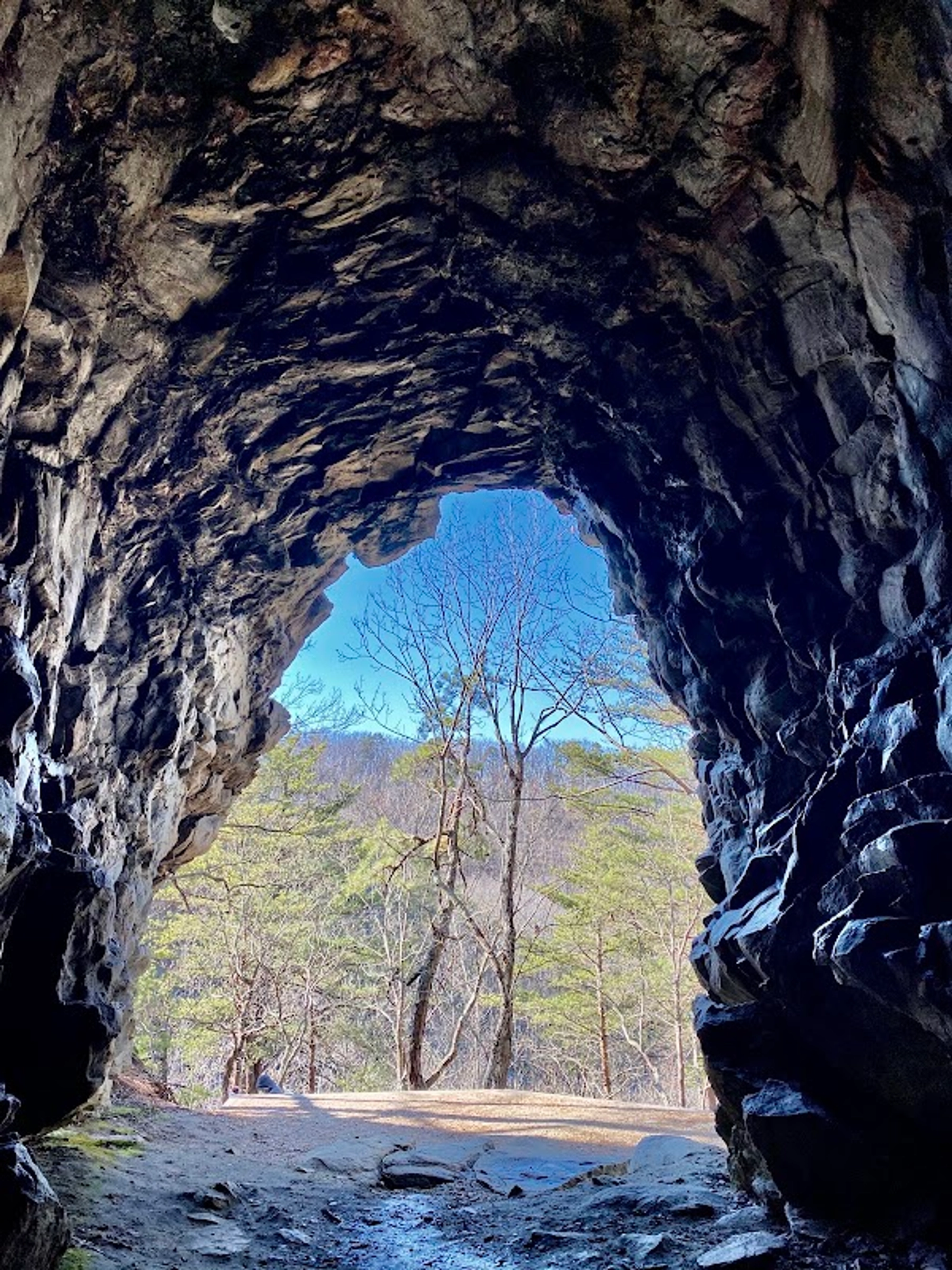 Tory's Den Cave